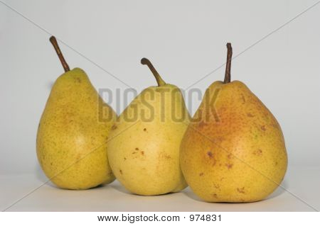 Birnen