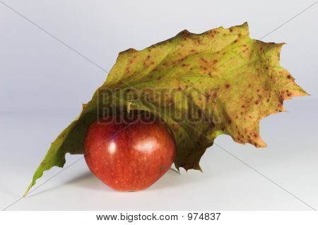 Roter Apfel