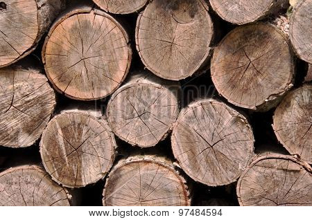 Close up of stacked logs