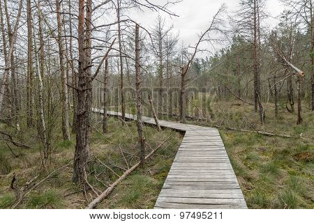 Wooden Bridge