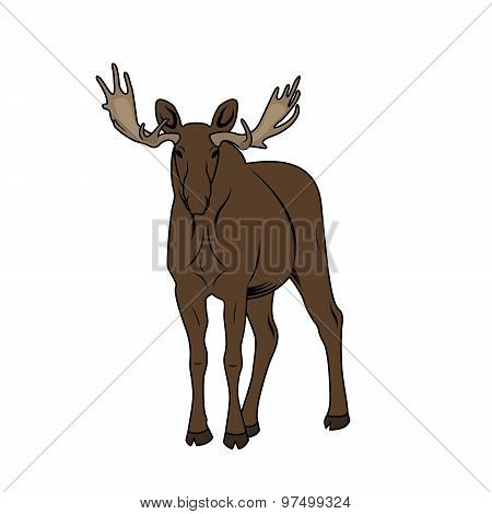 Vector Illustration Of A Moose