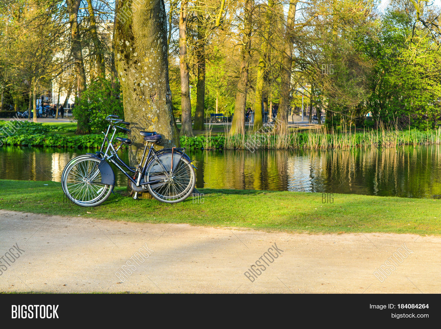 Bikes On Vondelpark Image & Photo (Free Trial) Bigstock