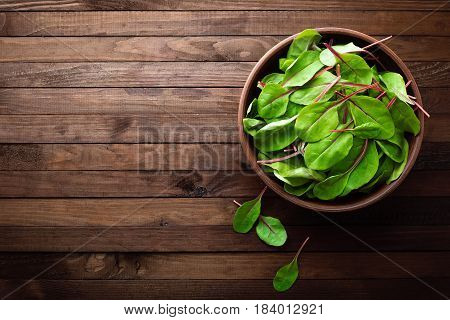 Fresh mangold leaves swiss chard or leaf beet