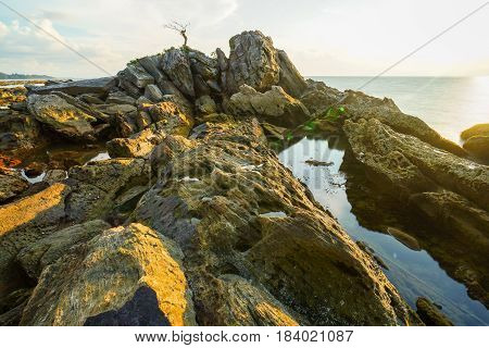 Long exposure of sea & rocks during beautiful evening at Labuan island,Malaysia.Known as Bonsai lonely tree Layang Layangan & lconic landmark in Labuan island,Malaysia.