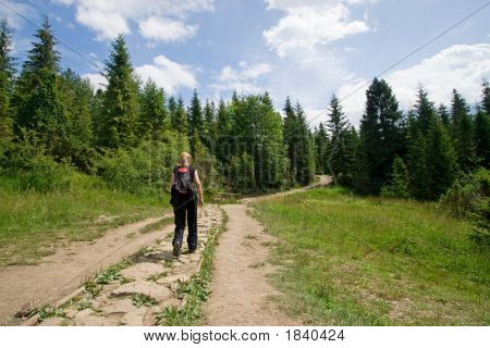 Mladá dívka procházky v lese