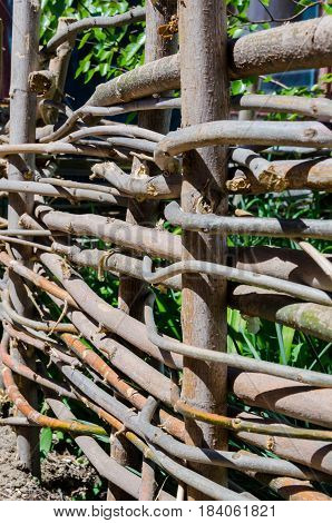 A woven wooden fence made of thin old branches in the countryside