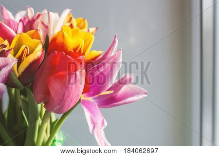 Bouquet of tulips on the window sill near the window