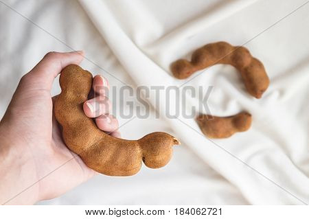 Ripe tamarind in female hand. Asian sweet fruit.