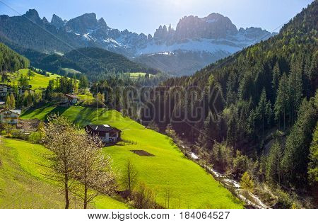 Italy Dolomites the green valley of Latemar
