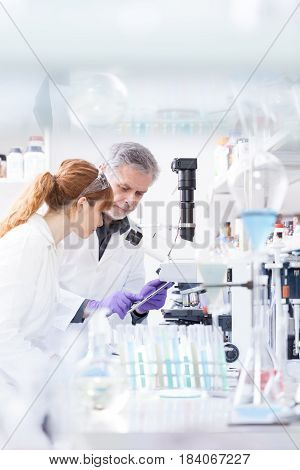 Health care researchers working in life scientific laboratory. Female research scientist and senior male supervisor looking focused at tablet computer screen evaluating and analyzing microscope image.