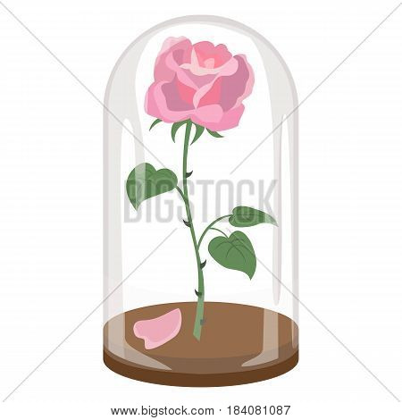 Rose in a flask of glass on the white background. Vector illustration.
