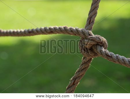 rope tied and pull four in different directions with green background