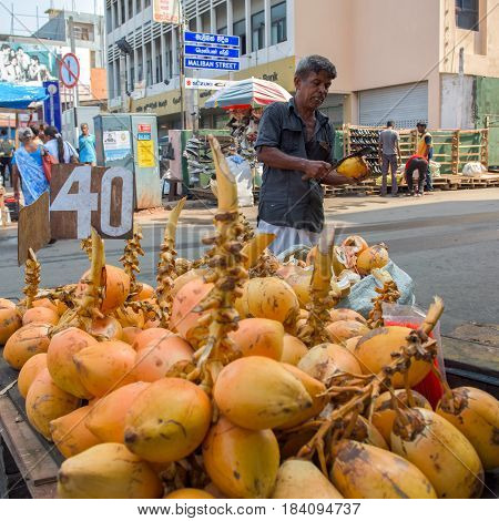 COLOMBO SRI LANKA - MARCH 15 2016: Man selling coconuts on the street in town on March 15 2016 in Colombo Sri Lanka. Colombo is prime business and office space of Sri Lanka.