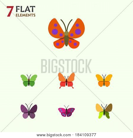 Flat Butterfly Set Of Moth, Violet Wing, Butterfly And Other Vector Objects. Also Includes Monarch, Archippus, Insect Elements.