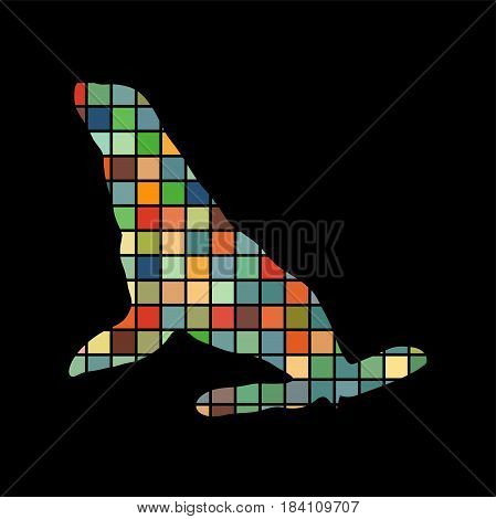 Phoca nautica color silhouette animal. Vector Illustrator.