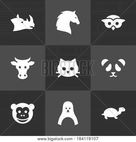 Set Of 9 Alive Icons Set.Collection Of Kine, Rhinoceros, Tortoise And Other Elements.