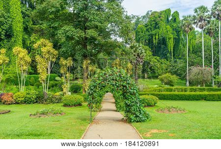 The Royal Garden