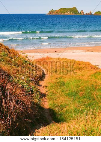 Turquoise water beyond narrow track leading to Opito Bay Beach