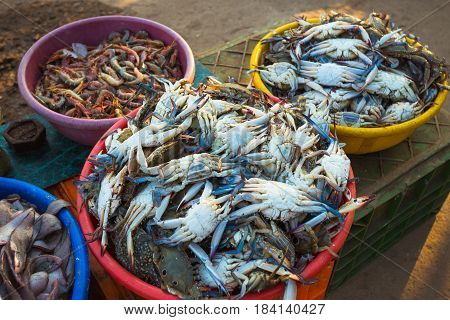 Sale Of Crabs In The Markets Of India
