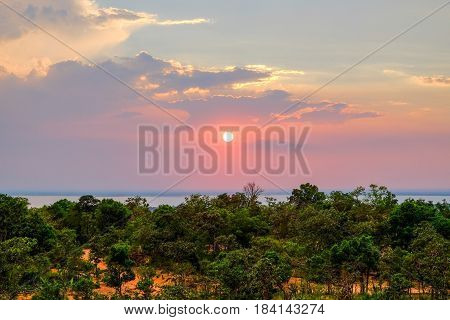 Sunset over the green forest in summer, natural landscape in countryside.
