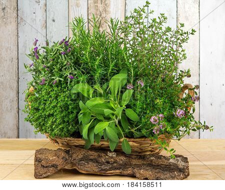 A Basket Full Of Herbs For The Kitchen.