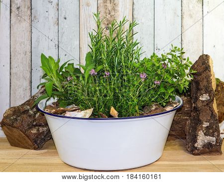 Many herbs in an old wash bowl can be used as spice for cooking or for aromatherapie.