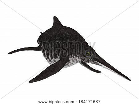 3D Rendering Ichthyosaur Shonisaurus On White