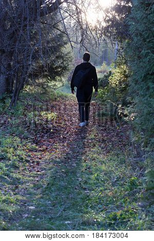 fantasy forest landscape. Mysterious surreal light in gloomy dark forest with fog between trees and man walking on natural path