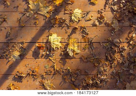 Autumn Leaves On Wooden Surface