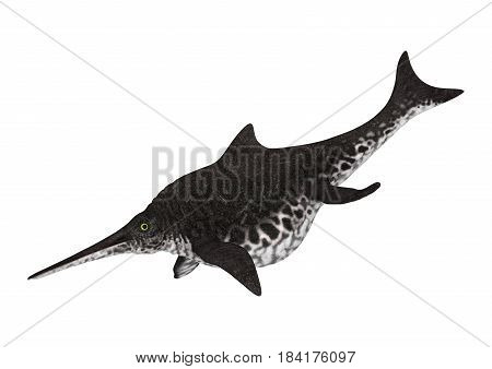 3D Rendering Ichthyosaur Shonisaurus On White