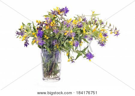 Bouquet of flowers Ivan-da-Marya in glass isolated on white background