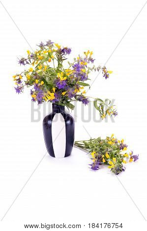 Bouquet of flowers Ivan-da-Marya in a vase isolated on white background