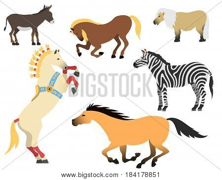 Set of horse pony stallion isolated different breeds color farm equestrian animal characters vector illustration. Collection mammal silhouette domestic animal cartoon pet design.