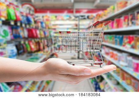 hand holding shopping cart with supermarket background