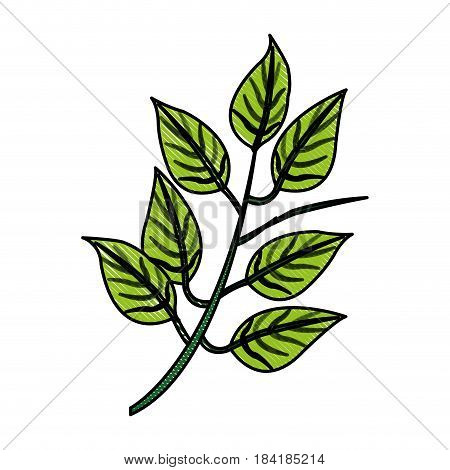 color blurred stripe image realistic branch with ramifications and leaves vector illustration
