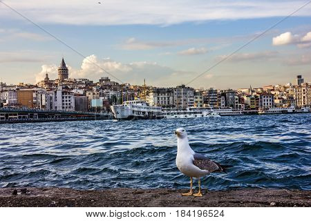 ISTANBUL TURKEY - Bosporus seafront Istanbul Turkey