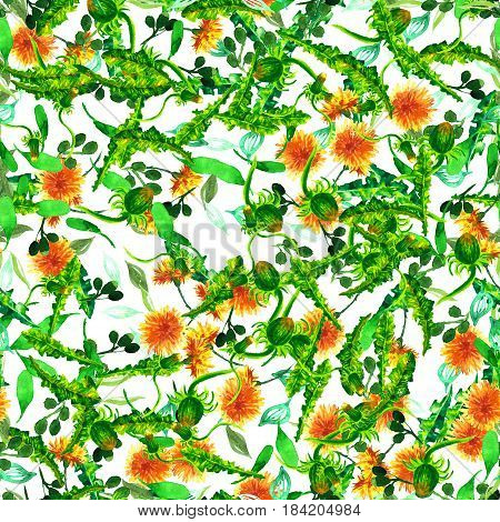 seamless pattern of wild flowers. yellow dandelions. watercolor