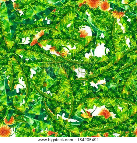 seamless pattern of wild flowers. yellow dandelions. watercolor
