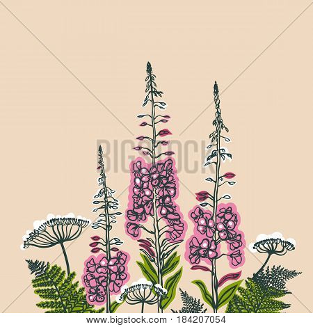 Card with forest and meadow plants. Angelica, fern, fireweed. Flowering plants. Summer theme. Vector illustration.