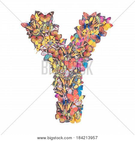Letter Y alphabet with butterfly ABC concept type as logo isolated on white background