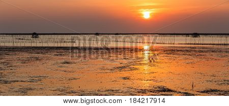 Panorama Sunset Over Sea Shore And Wetland With Silhouette Shell Farm