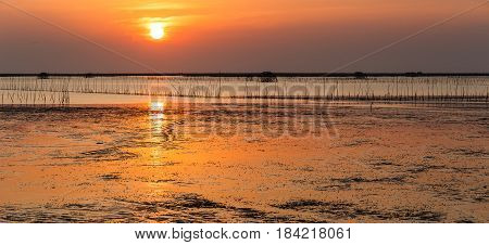 Panorama Sunset Over Sea Shore And Wetland With Silhouette Shell Farm