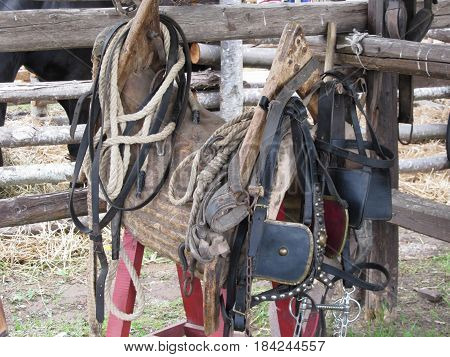 Worn leather horse bridles and bits hanging on wooden fence
