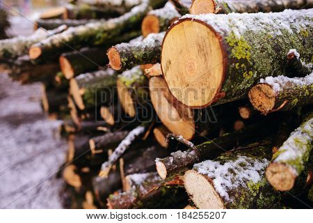 Pile Of Chopped Fire Wood Prepared For Winter