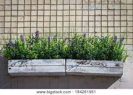 Wooden Box With Daisies On A Stone Wall