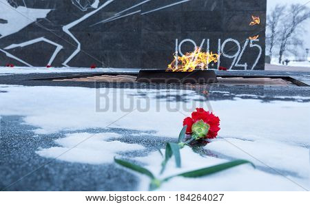 Carnation flower assigned to eternal flame in memory of soldiers who died during the Second World War. Kremlin Nizhniy Novgorod Russia