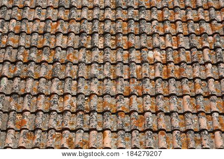Clay tiled roof top pattern in Serpa village, Portugal 