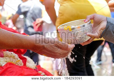 Close-up Thai people pouring water (bathing) on hand of monk in Songkran Festival, Thailand
