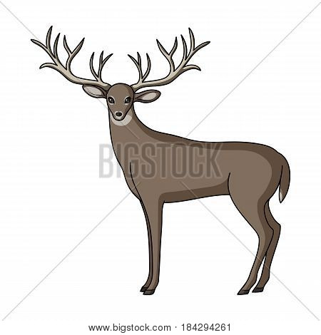 Deer with big horns.Animals single icon in cartoon style vector symbol stock illustration .