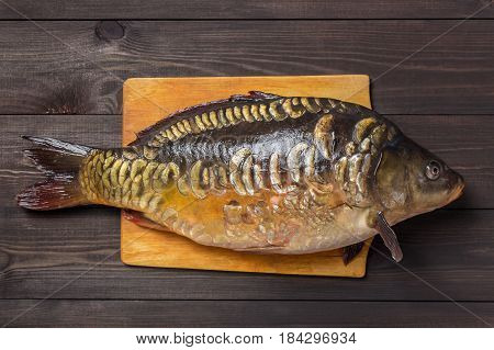 Mirror carp river fish on dark wooden table.